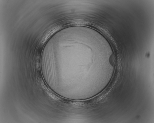 X0000115510889200912041059