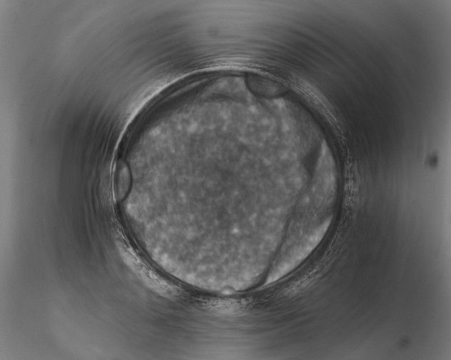 X0000115510892200912041059