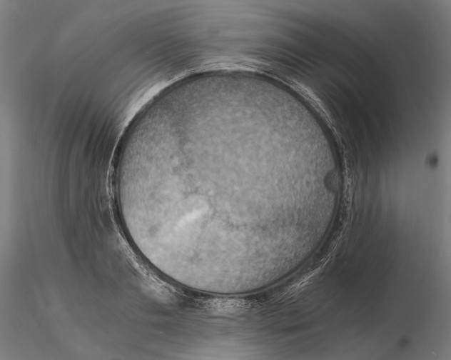 X0000115510893200912041059