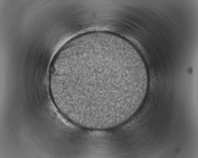 X0000115510894200912041059