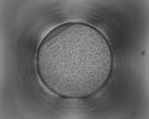 X0000115510895200912041059