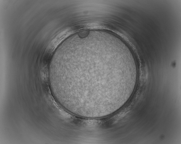 X0000115510897200912041059