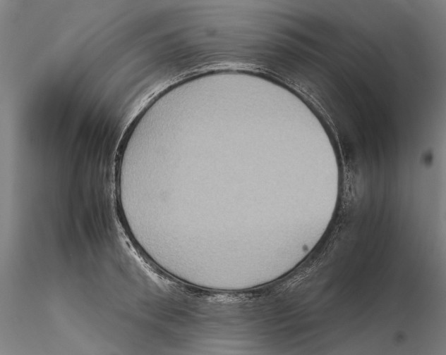 X0000115510898200912041059