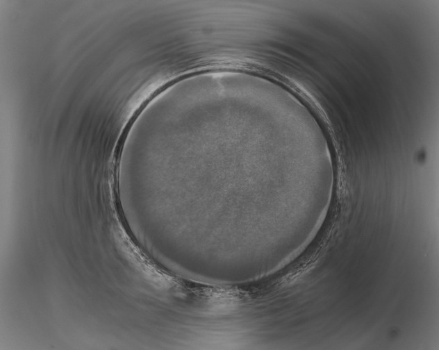 X0000115510899200912041059