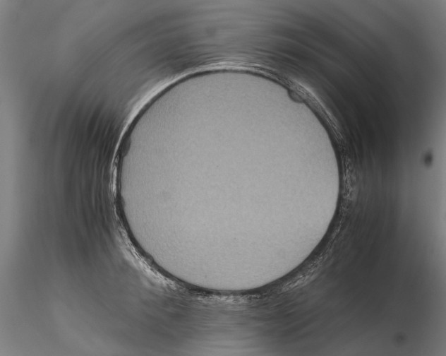 X0000115510900200912041059