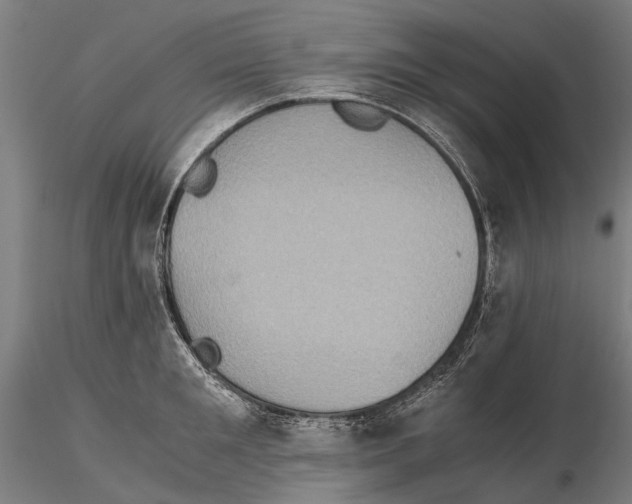 X0000115510901200912041059