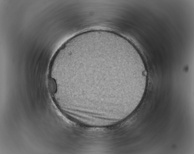 X0000115510902200912041059