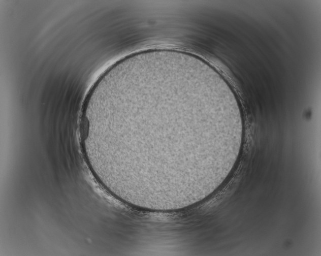 X0000115510904200912041059