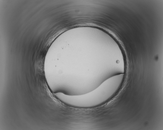 X0000115510905200912041059