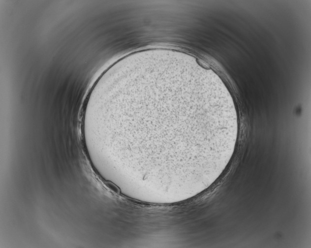 X0000115510908200912041059