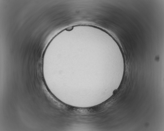 X0000115510911200912041059