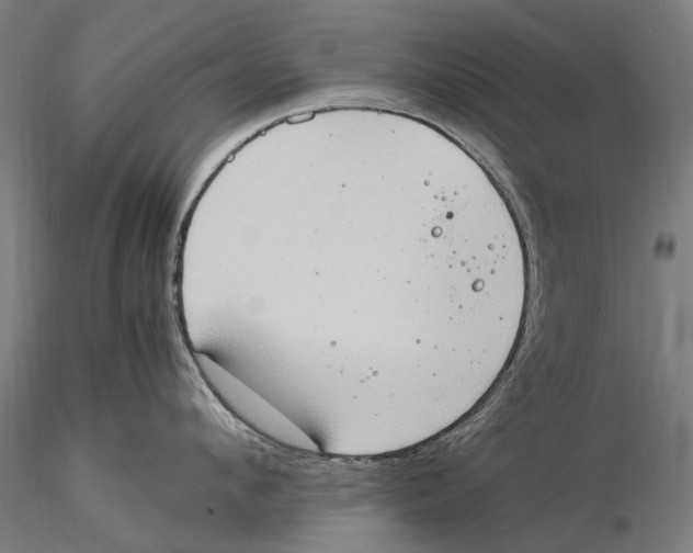 X0000115510912200912041059