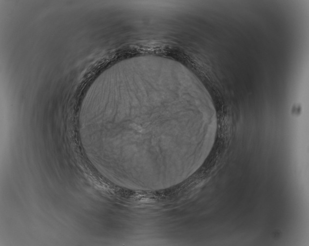 X0000115510913200912041058