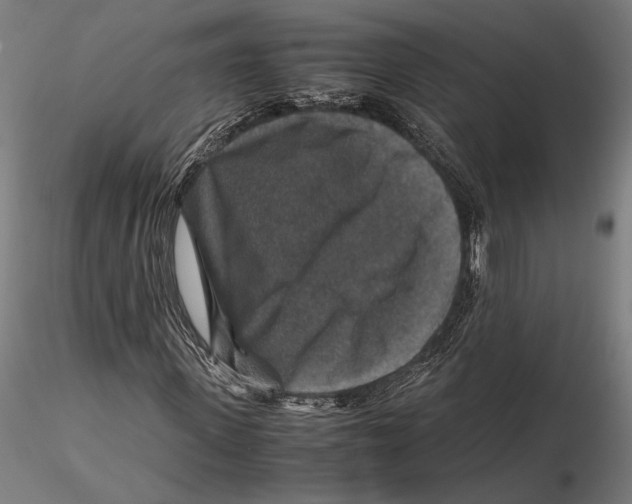 X0000115510915200912041058