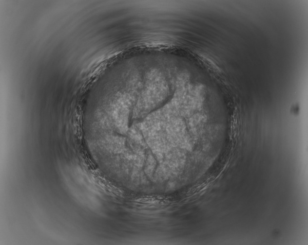 X0000115510917200912041058