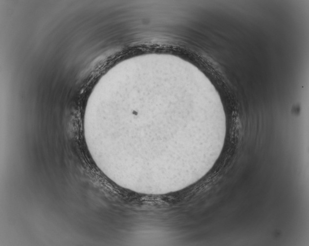 X0000115510918200912041058