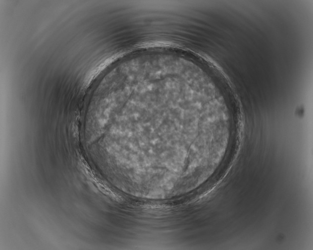 X0000115510921200912041058