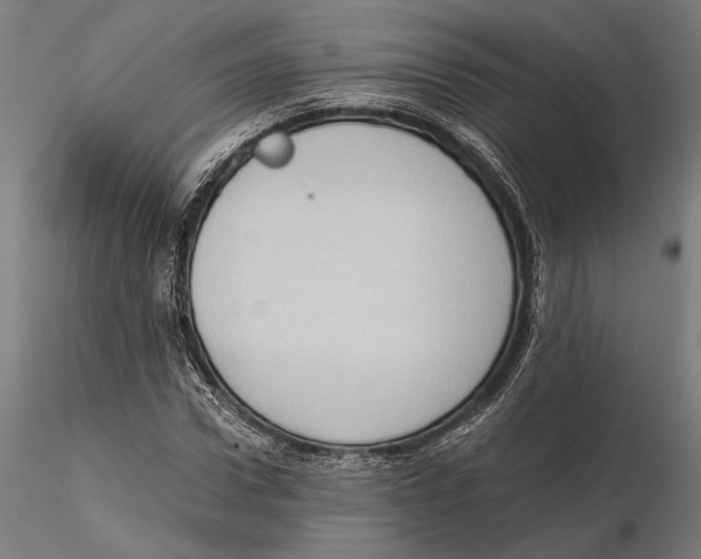 X0000115510922200912041058