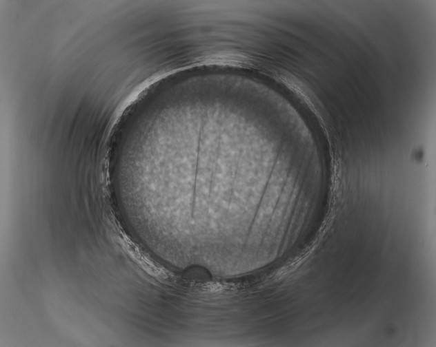 X0000115510923200912041058