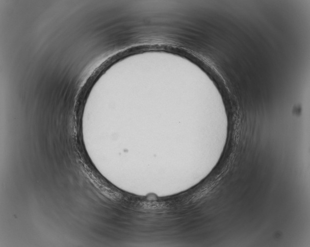 X0000115510927200912041058