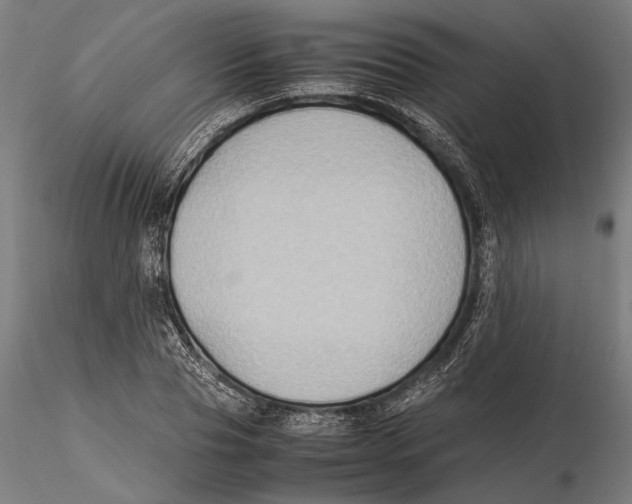 X0000115510929200912041058