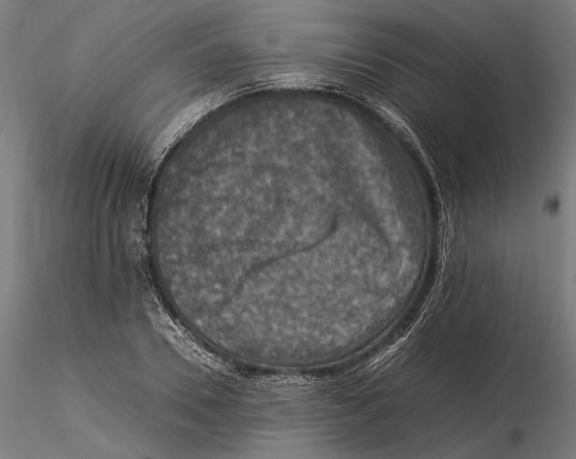 X0000115510930200912041058