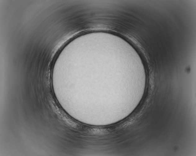 X0000115510933200912041058