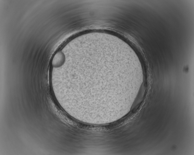 X0000115510934200912041058