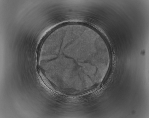 X0000115510935200912041058