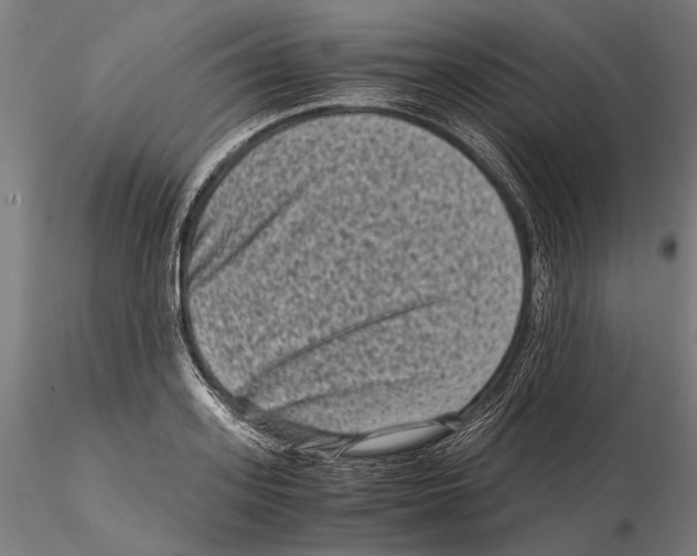 X0000115510939200912041058