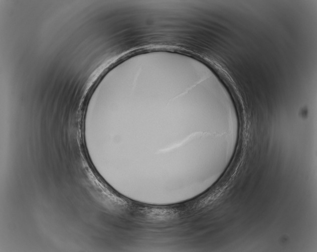 X0000115510941200912041058