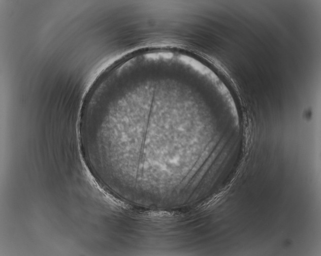 X0000115510943200912041058