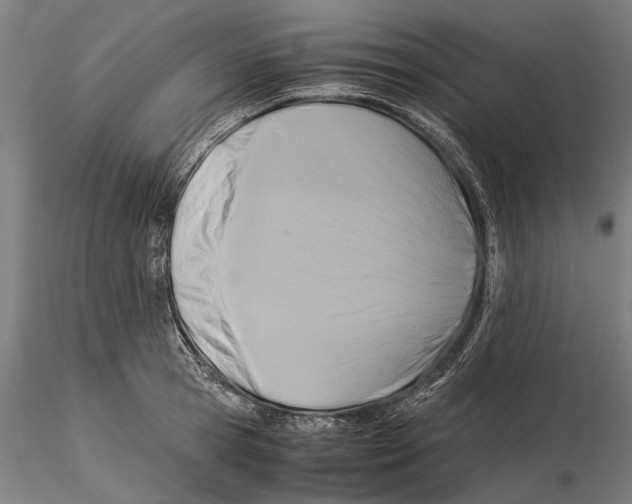 X0000115510945200912041059