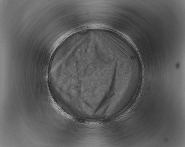 X0000115510946200912041059