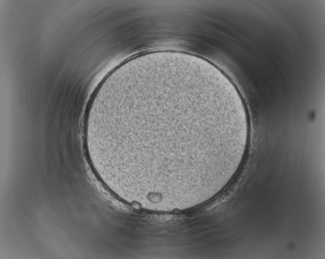 X0000115510949200912041059