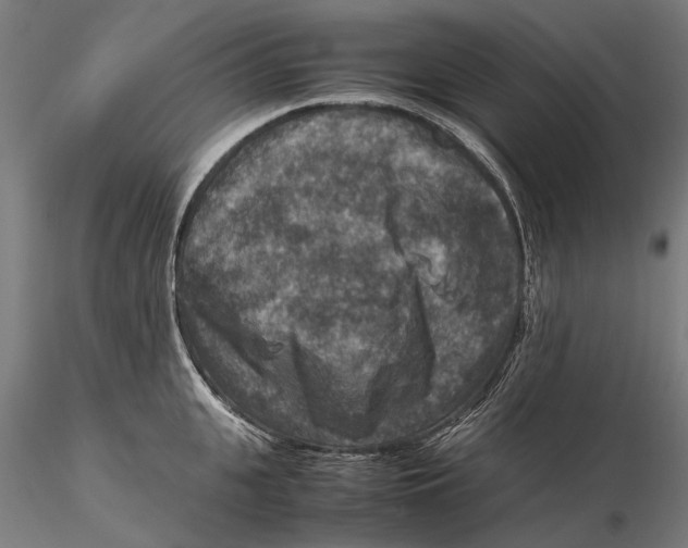 X0000115510951200912041059