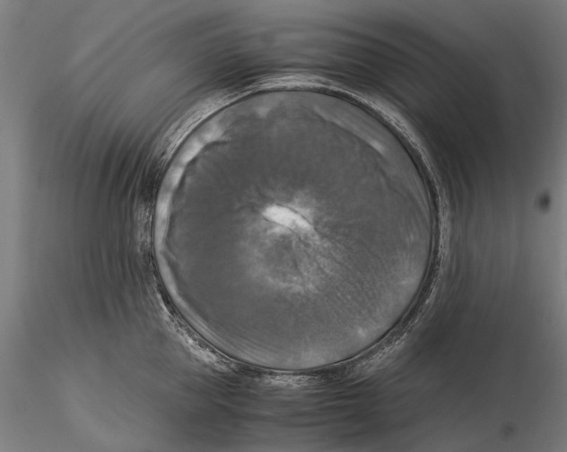 X0000115510953200912041059