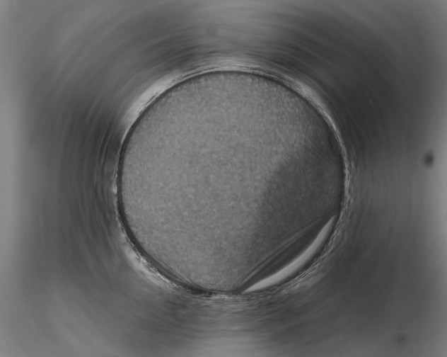 X0000115510954200912041059