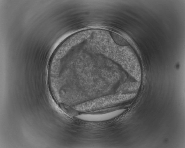 X0000115510955200912041059