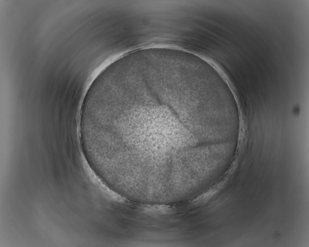 X0000115510957200912041059