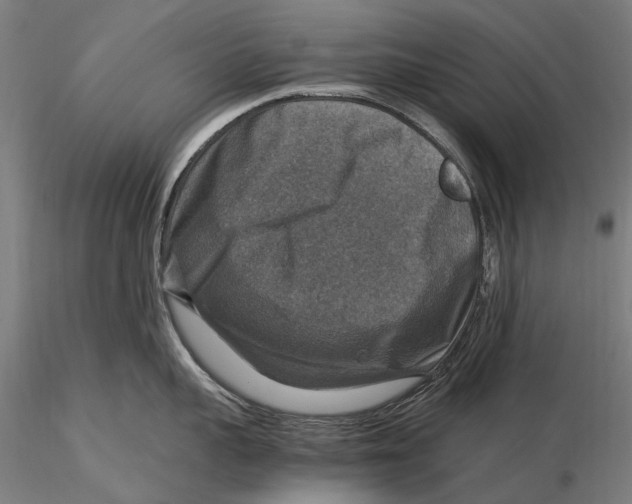 X0000115510959200912041059