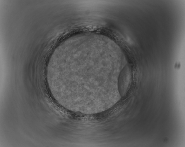 X0000115510961200912041058