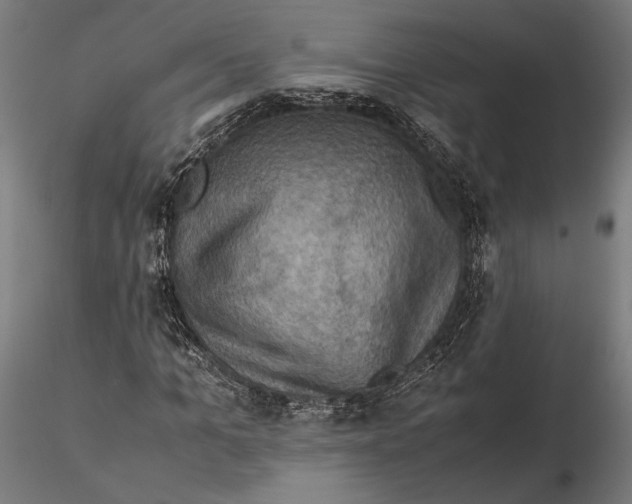 X0000115510965200912041058