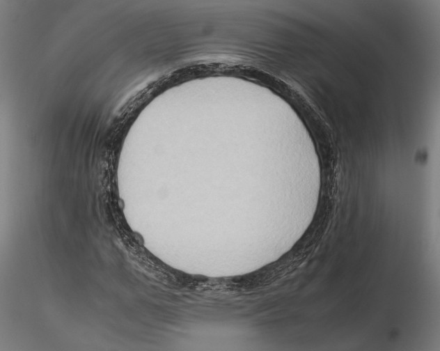 X0000115510967200912041058