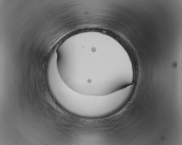 X0000115510969200912041058