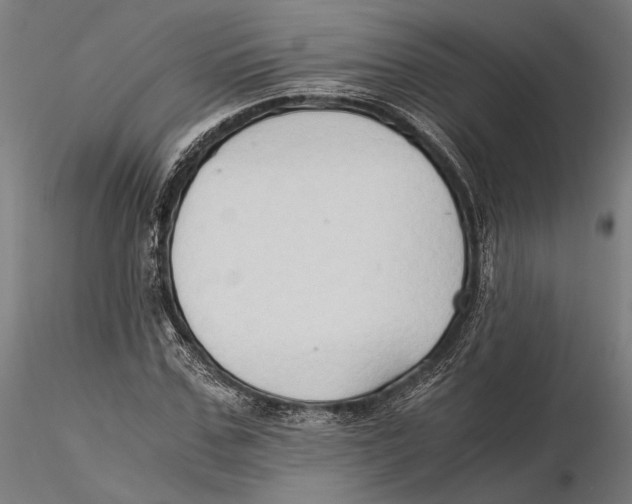 X0000115510971200912041058