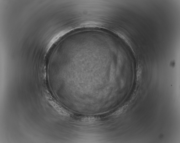 X0000115510973200912041058