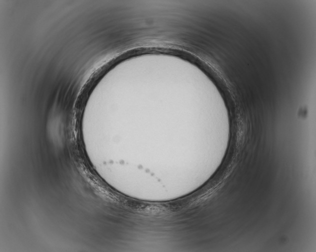 X0000115510974200912041058