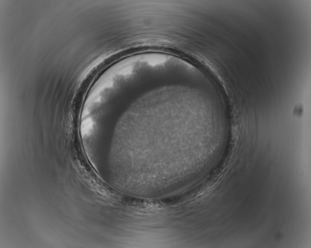 X0000115510975200912041058