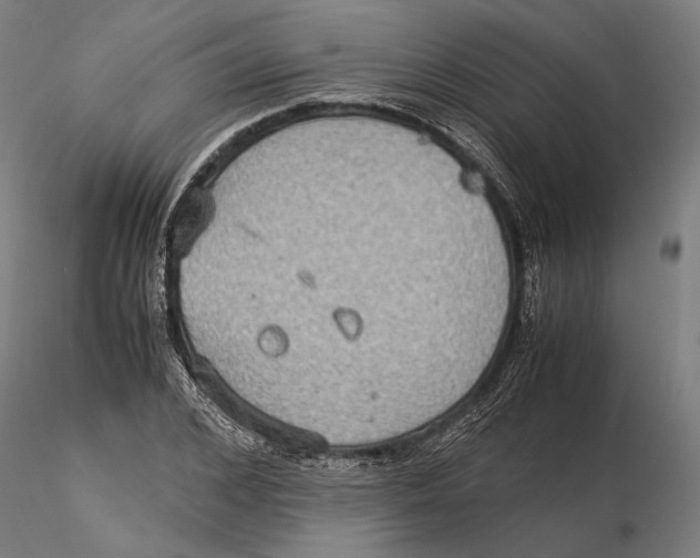 X0000115510976200912041058